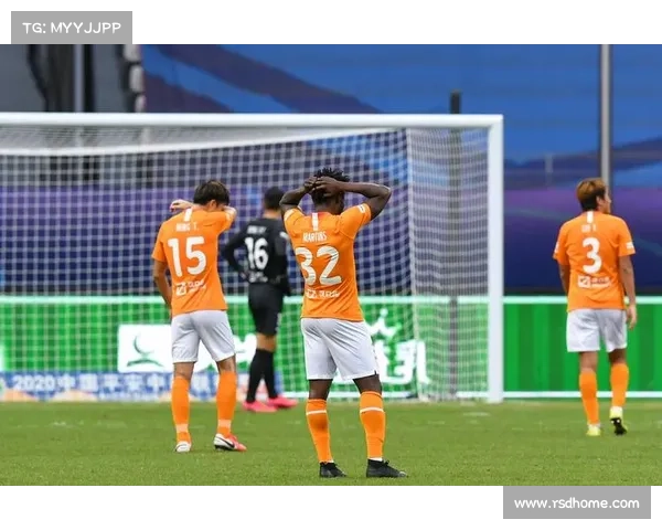 卓尔主场赛事-武汉卓尔足球俱乐部主场赛事绿茵争锋英雄拼搏球迷助威声震云霄