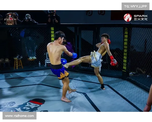 国内搏击赛事排行_国内搏击赛事排行榜前十名